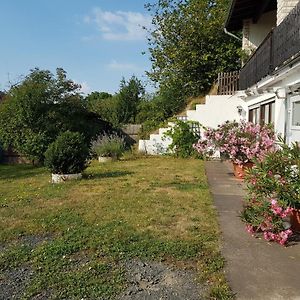 Ferienwohnung Schwabendorf - Nahe Marburg Rauschenberg Exterior photo