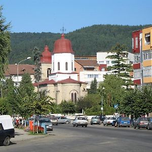 Garsoniera Jad Apartamento Tîrgu Ocna Exterior photo