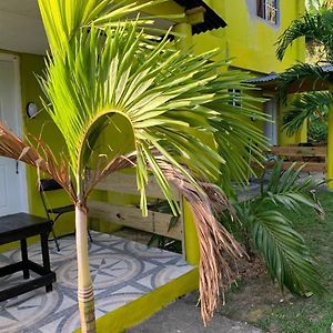 Tha Lagoon Spots Cool Vybz Apartamento Port Antonio Exterior photo