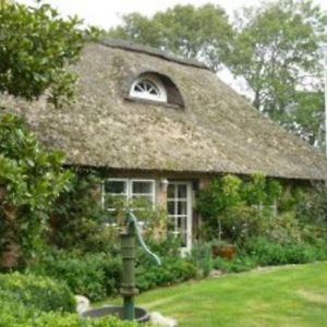 Little Rose Cottage Borm Exterior photo