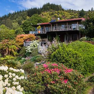 Tasman Hideaway - Marahau Holiday Home Exterior photo