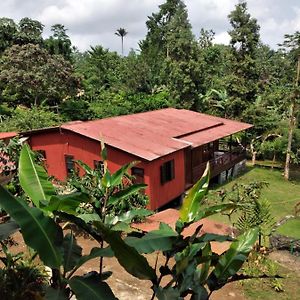 Casa Modelo Colonial - Guest House Quinta Natural Graca Exterior photo