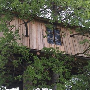 Treehouse Magpies Nest With Bubble Pool Vila Avesta Exterior photo