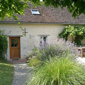 Gite Calme Au Coeur De Vignoble Bio Avec Piscine, Proche Azay-Le-Rideau - Fr-1-381-238 Vila Brizay Exterior photo