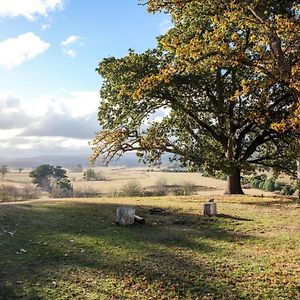 Twamley Farm Vila Buckland Exterior photo