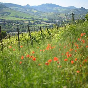 Oinoe La Città del Vino Acomodação com café da manhã Traversetolo Exterior photo