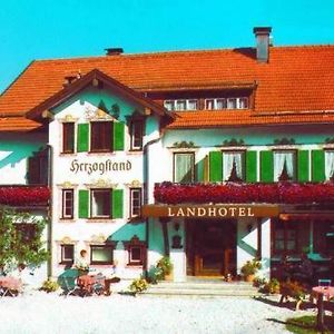 Landhotel Herzogstand Garni Kochel am See Exterior photo