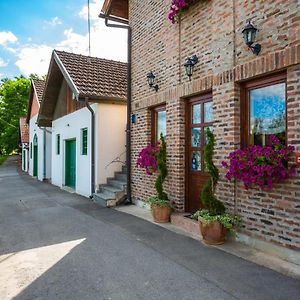 Podrumi Kolar "Suza Baranje" Casa de hóspedes Kneževi Vinogradi Exterior photo