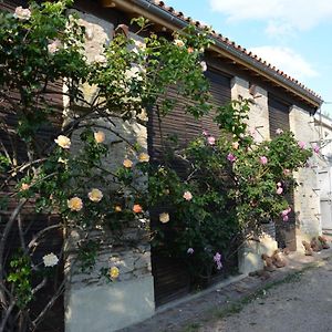 La Maison Des Herons Acomodação com café da manhã Le Vanneau-Irleau Exterior photo