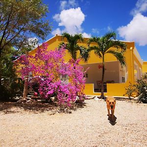 Roadrunner-Bonaire Vila Kralendijk  Exterior photo