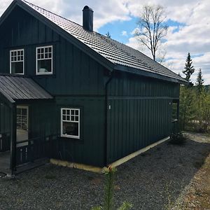 Hytte I Trysil Naer Osensjoen Med Sjoutsikt Vila Exterior photo