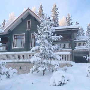 Tahkonhovi Golden Chalet Hotel Exterior photo