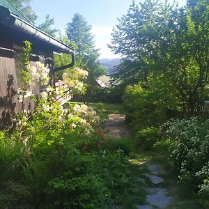 Chata Na Poskle U Lesa S Vyhledem Vila Hutisko Exterior photo