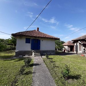 Etno Selo Dimitrijevic Vila Arandjelovac Exterior photo