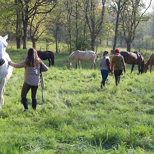 Domaine des Pierres Jumelles-balade à cheval-chambre d'hôtes Mayenne Acomodação com café da manhã Sainte-Gemmes-le-Robert Exterior photo