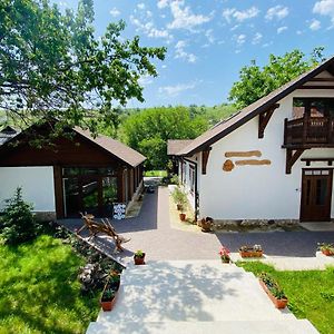 Valea Stâncii Hotel Trebujeni Exterior photo