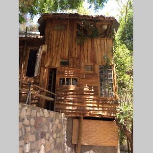 La Casa entre los Árboles en el Valle de Elqui Montegrande Paiguano Exterior photo