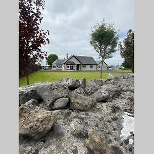 Breathneach House Vila Limerick Junction Exterior photo