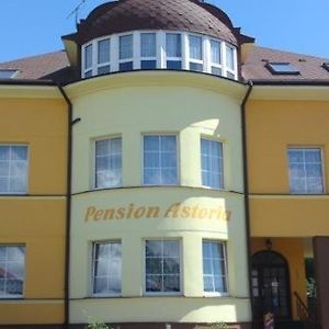 Pension Astoria Hotel Klášterec nad Ohří Exterior photo