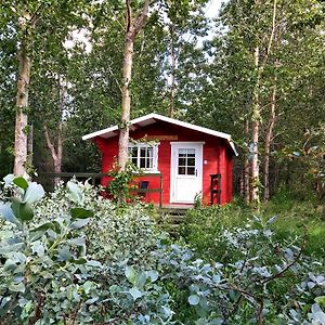 Bakkakot 3 Cozy Cabin In The Woods Apartamento Akureyri Exterior photo