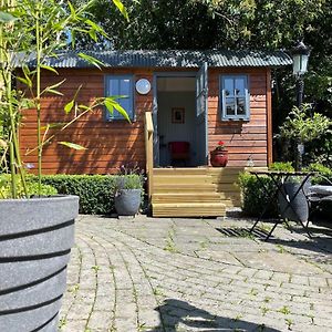 Lilac Hut Shepherds Hut Vila Jenkinstown Park Exterior photo