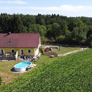 Haus Sonberg Mit Garten, Pool, Fasssauna, Semi Detached House With Garden Apartamento Deutschlandsberg Exterior photo