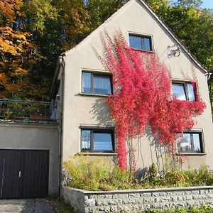 Unser Ferienhaus Vila Ebersbach-Neugersdorf Exterior photo