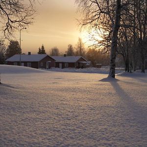 Lapland Stuga & Tours Vila Rentjarn Exterior photo