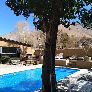 Ruta Elqui Hotel Pisco Elqui Exterior photo