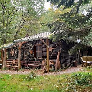 Das Wilde Auwaldhaus Apartamento Bertsdorf Exterior photo