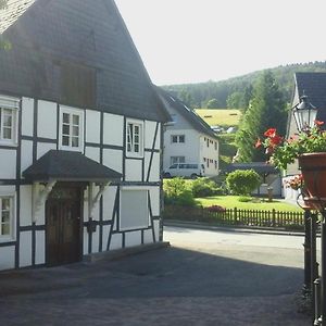 Am Bach Vila Olsberg Exterior photo