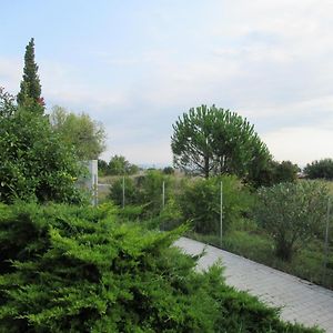 Les Capriers Acomodação com café da manhã Cazouls-lès-Béziers Exterior photo