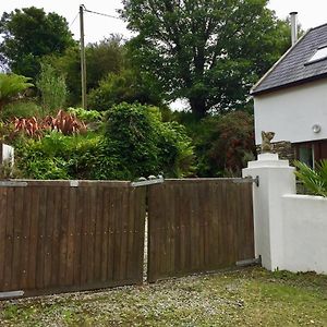 Fernery Garden Cottage, Near Skibbereen Drishanebeg Exterior photo