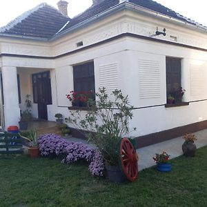 Seosko Turisticko Domacinstvo Stojkovic Apartamento Aleksinac Exterior photo