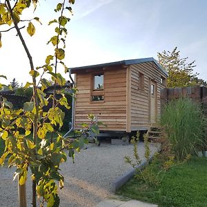 Zirbenholz Tiny House "Waldhauszeit" Am See Mücke Exterior photo