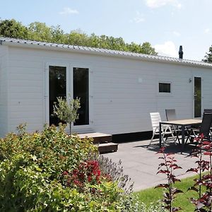 Tidy Chalet With A Microwave, Near The Wadden Sea Vila Tzummarum Exterior photo