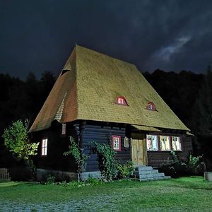 Cabana Iubu Vila Valea Drăganului Exterior photo