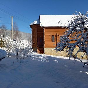 Вікенд Vila Yaremche Exterior photo