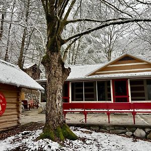 Beary Relaxing Cabin - Rustic With Outdoor Patio Vila Seri Kembangan Exterior photo