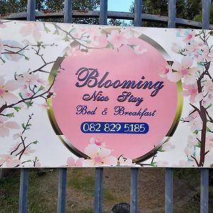 Blooming Nice Stay Harrismith Exterior photo
