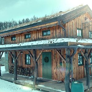 CHALET BORŮVKA - biofarma na samotě v lesích Vila Benesov  Exterior photo