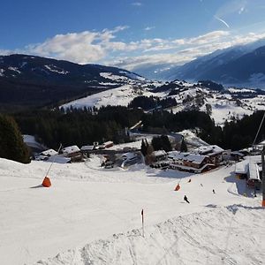 Panorama Chalet Vila Mittersill Exterior photo