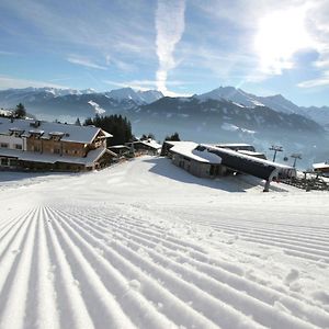 Elegant Chalet With Sauna In Mittersill Salzburg Apartamento Hollersbach im Pinzgau Exterior photo