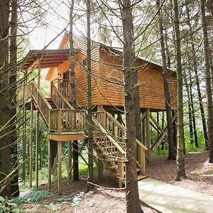 Whispering Pines Treehouse By Amish Country Lodging Vila Millersburg Exterior photo