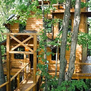 Treehouse #2 By Amish Country Lodging Vila Millersburg Exterior photo