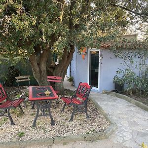 Studio Havre De Paix Au Pont Du Gard Piscine Et Jacuzzi Chez Valerie Payre Vila Vers-Pont-du-Gard Exterior photo