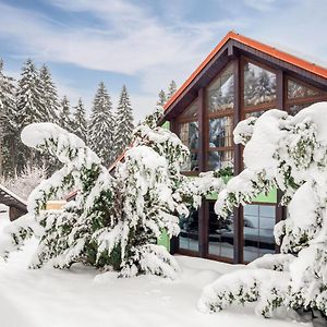 Holiday Home Jelení kout Smržovka Exterior photo