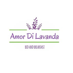 Amor Di Lavanda Acomodação com café da manhã Cingoli Exterior photo