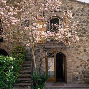 La Magnolia Acomodação com café da manhã Greve in Chianti Exterior photo