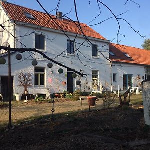 Slaaphuisje Het Vliegend Varken Acomodação com café da manhã Genk Exterior photo